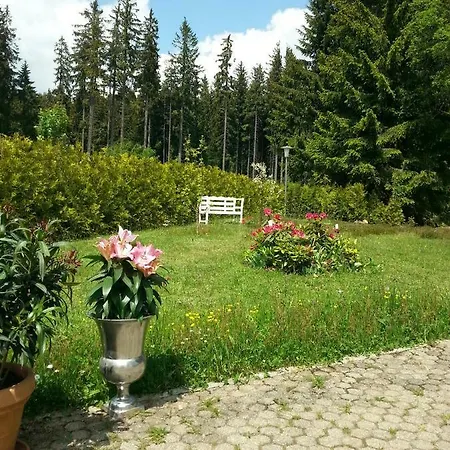 Haus Mit Kamin In Alleinlage Сasa de vacaciones Feldberg (Baden-Wurttemberg)