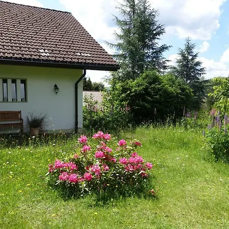 Haus Mit Kamin In Alleinlage * Feldberg (Baden-Wurttemberg)